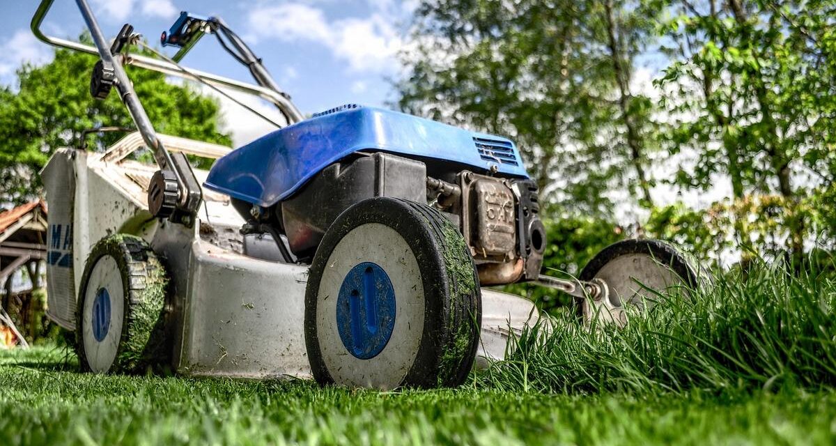 Risposte Lampo e Fiducia: il Metodo di Speno’s Lawn Care che Conquista i Clienti