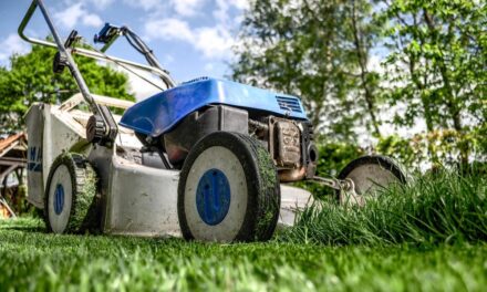 Risposte Lampo e Fiducia: il Metodo di Speno’s Lawn Care che Conquista i Clienti